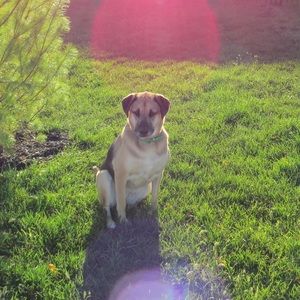 Meet your Posher, Addie